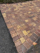 Shine-A-Cast: Hybrid Pentrating & Topical Sealer