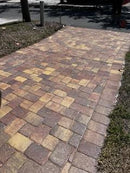 Shine-A-Cast: Hybrid Pentrating & Topical Sealer