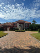 Shine-A-Cast: Hybrid Pentrating & Topical Sealer