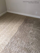 T-REX™ Jr. Total Rotary Extractor